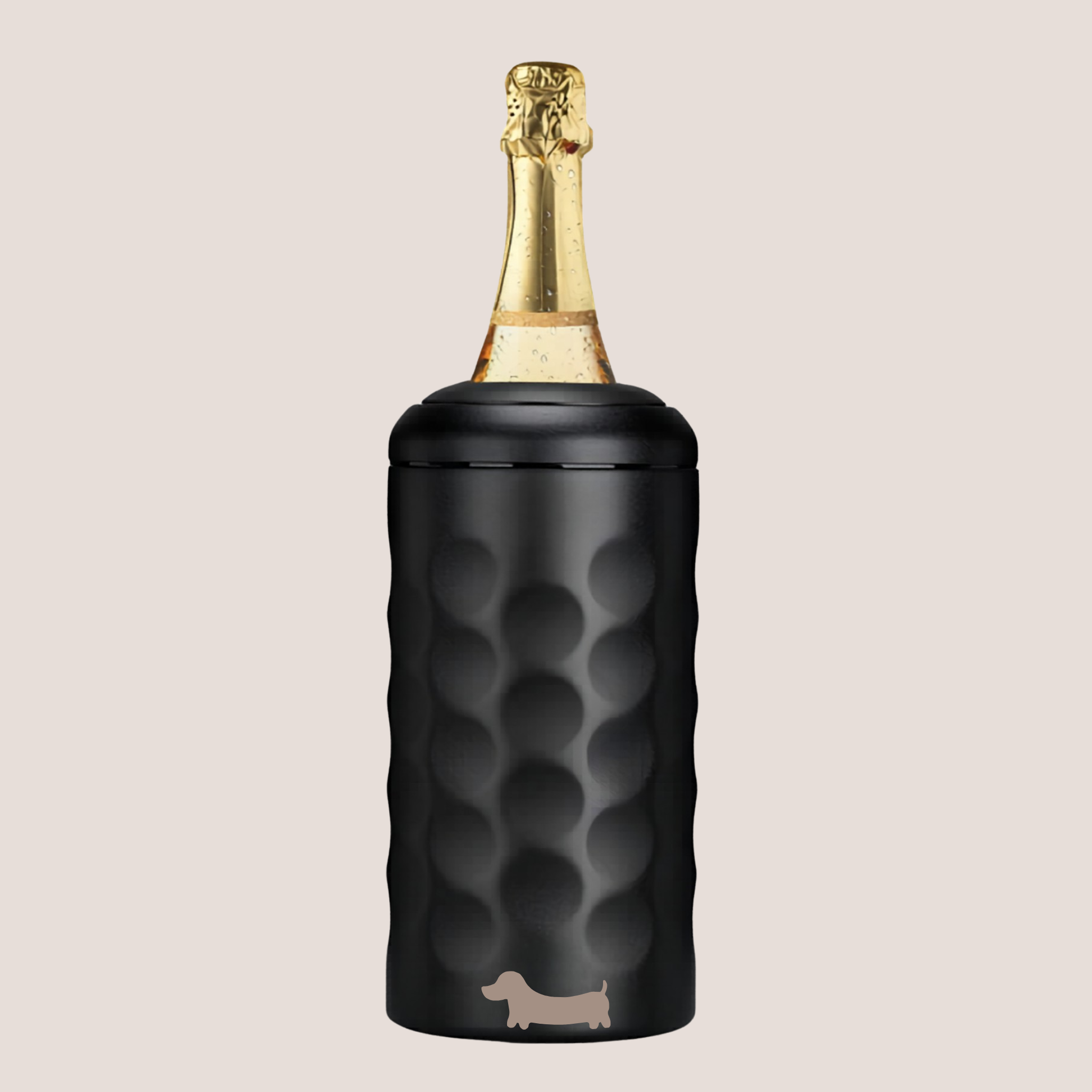 Customised sausage dog on a black textured wine cooler with a champagne bottle inside on a beige background 